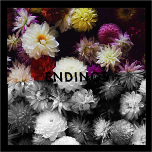 Endings