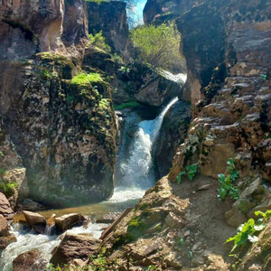 Огромное удовольствие