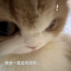 [BEAT]''O.o'' 初恋的 可乐的 能赚大钱的 jersey type beat