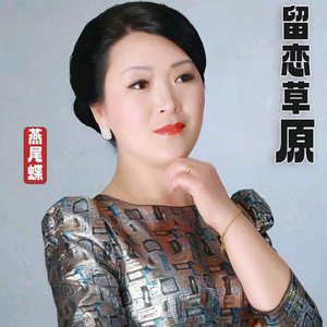 夜的草原海的深情