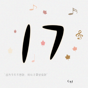 17岁的歌