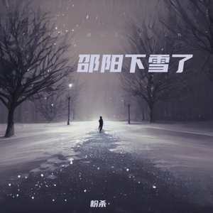 邵 阳 下 雪 了