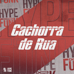 Cachorra de Rua