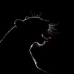 PSYC-CHEDELIC（删减版）