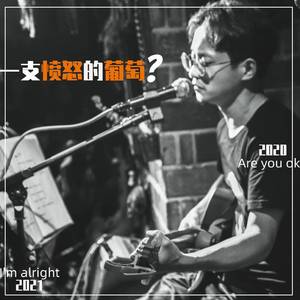 一支愤怒的葡萄2