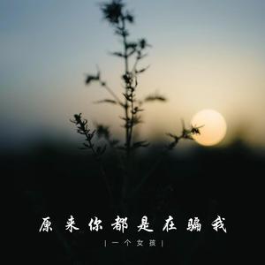 原来你都是在骗我