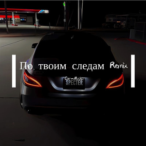 По твоим следам