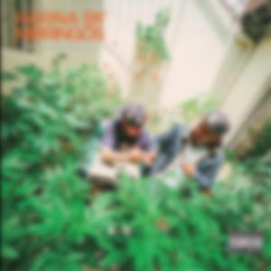 Cronico (feat. Animal zounds)