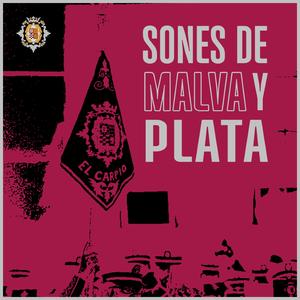 Sones de Malva y Plata (Directo)