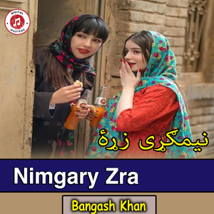 Nimgary zra