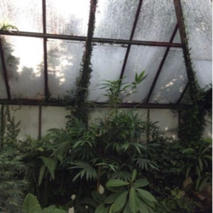 Ｔｈｅ Ｉｎｄｕｓｔｒｙ