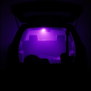Mute
