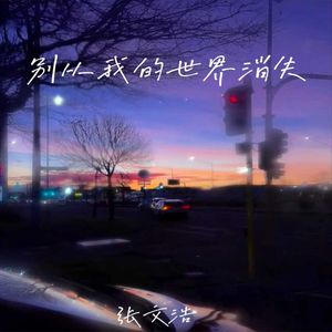 别从我的世界消失