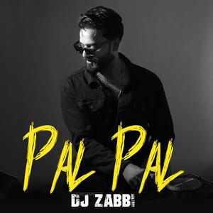 Pal Pal (Remix)