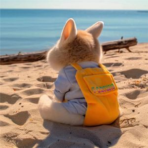 总有一天你会出现在我面前