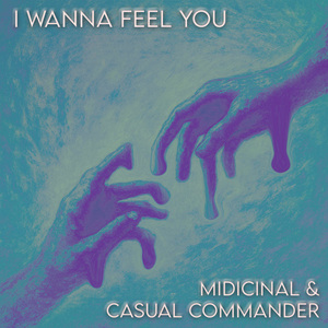 I Wanna Feel You
