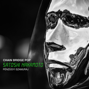 Satoshi Nakamoto, Pénzügyi Szamuráj