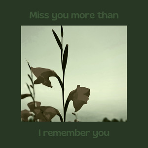 Miss You More Than I Remember You