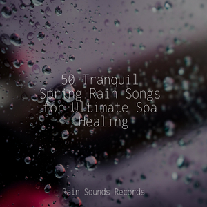 Woods, Drizzle, Noon