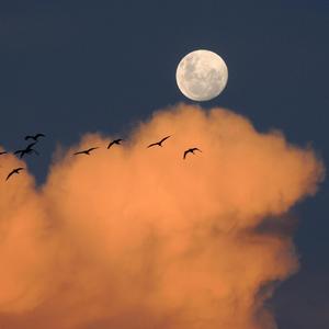 어느새 또 하루 끝자락에