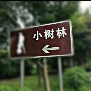 体育路【Prod.97Virus × Ljx Ghost】