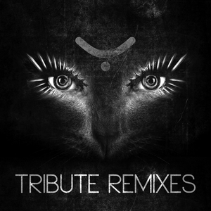 Never End (Festuca Remix)