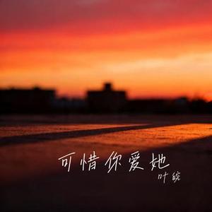 可惜你爱她 (Cover 向思思)