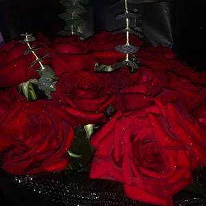 月亮上的玫瑰花（Aspirin）