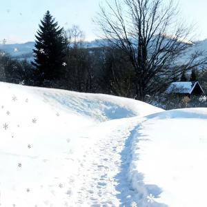 爱你但说不出口