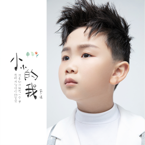 小小的我 (伴奏)