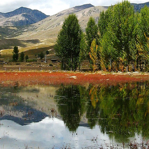 重要的东西眼睛是看不见的