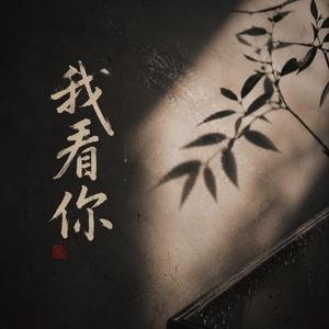 我看你