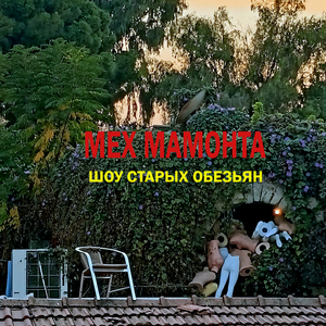 Поклонница