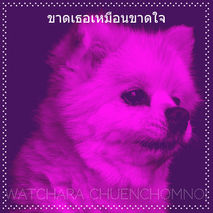 ขาดเธอเหมือนขาดใจ