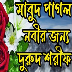 মাবুদ পাগল নবীর জন্য নবী পাগল উম্মতের #দুরুদ_শরীফ