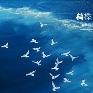 韩寒
