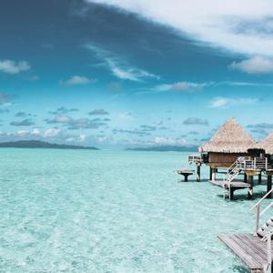 Minds For Another Night