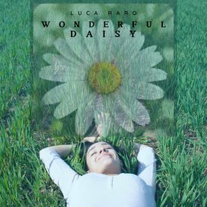 wonderful daisy