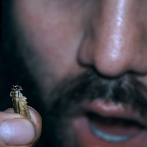 ASMR EATING Crickets, Scorpion, Chocolate Covered Honey Comb, Pt. 7