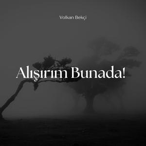 Alışırım Bunada!