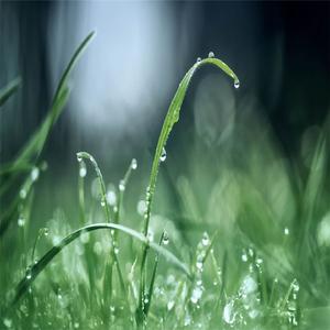 下雨声 (助眠减压)