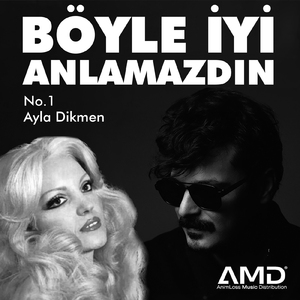 Böyle İyi x Anlamazdın