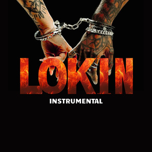 Lokin