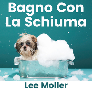 C'est Tout En Haut De La Vieille Ville