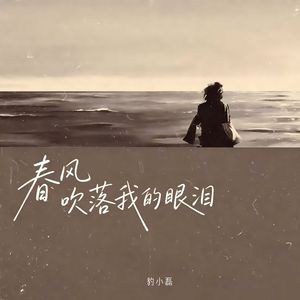 春风吹落我的眼泪