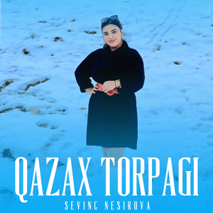 Qazax Torpagi