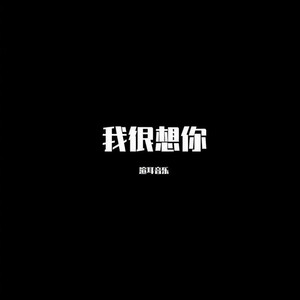 别太认真 (DJ版)