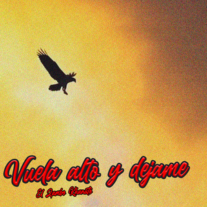 Vuela Alto y Dejame