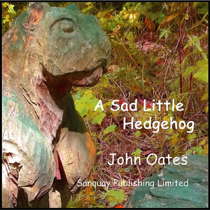 A Sad Little Hedgehog