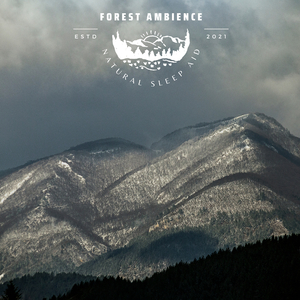 Forest Ambience